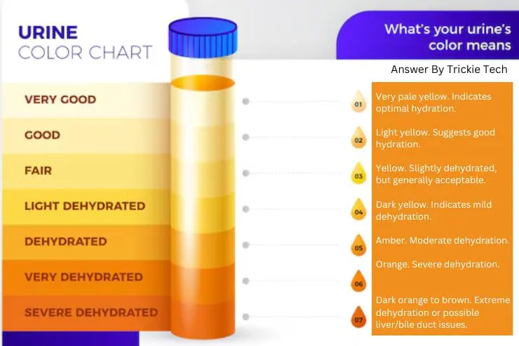 urine color and information